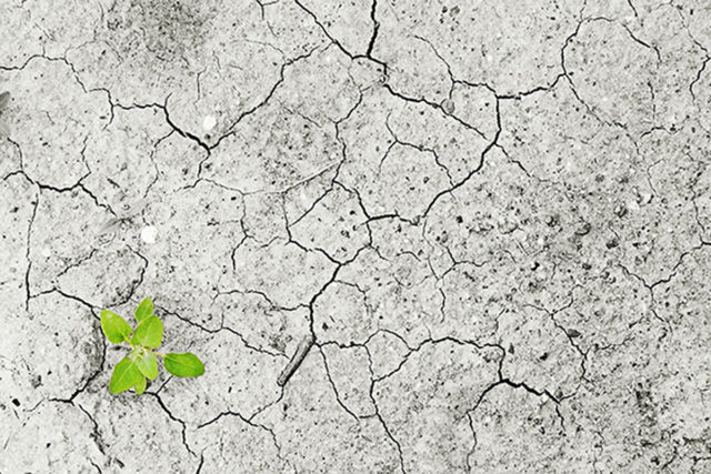 fzj 2019-02-12-duerre-pixabay Auch Wetterextreme wie Dürrekatastrophen in den Jahren zuvor führten zum Zustandekommen der ersten Weltklimakonferenz in Genf. Foto: Pixabay