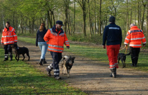 Gehorsam und Konzentration auf den Hundeführer gehören zu den wesentlichen Eigenschaften eines Rettungshunds. Foto: Beate Wunsch / Johanniter