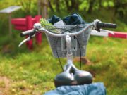 Image by ptra from Pixabay