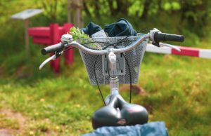 Image by ptra from Pixabay