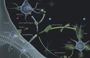 Die Bildung und Aggregation des Amyloid-beta-Proteins ist ein komplexer Prozess. Copyright: Illuteam43