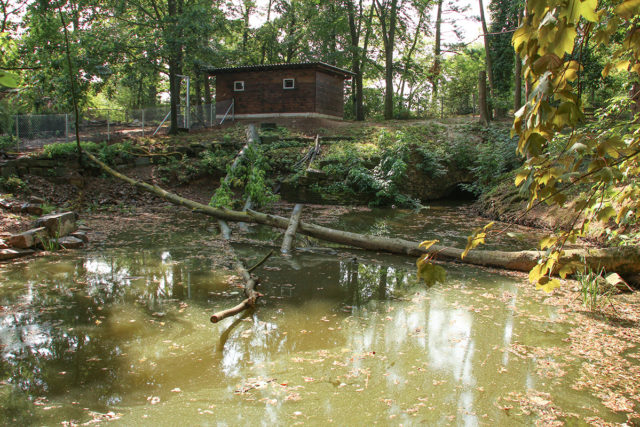 IMG_9864 Ottergehege 2k