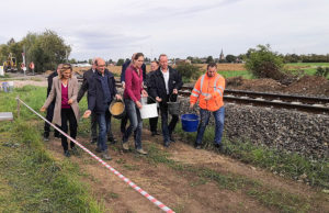 Insektenoasen eingerichtet