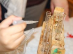 Mitmachen, ausprobieren, informieren