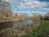 Zu wenig Wasser in der Rur