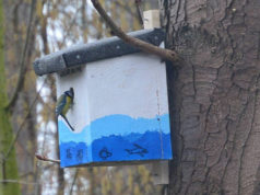 Tiere im Winter