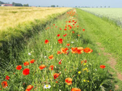 Für die Zukunft von Vereinen