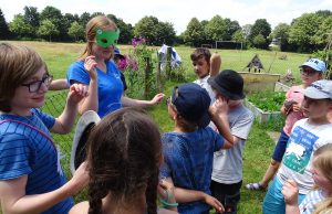 Ein Jahr für Ökologie