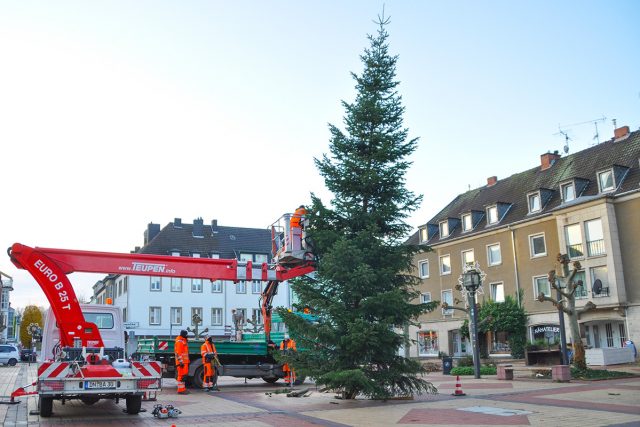 PR 245 - Weihnachtsbaum geschmückt - baum_aufstellung. JPG