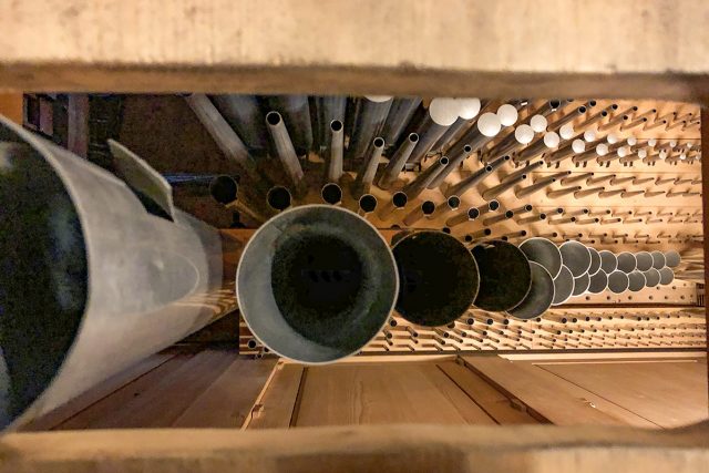 Orgel