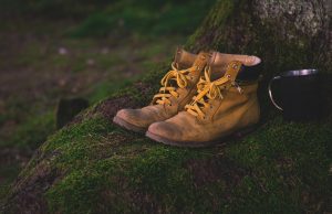 Stärkere Kontrollen in der Eifel
