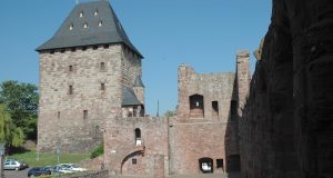 Talente entdecken, Interesse wecken