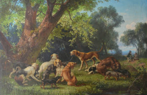 Landschaftsgalerie: „Tierisch was los“
