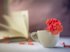 Inspirierendes Frühstück