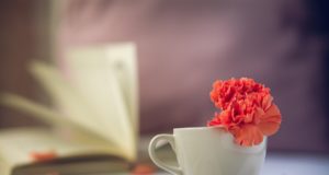 Inspirierendes Frühstück