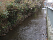 Mühlenteiche an der Rur