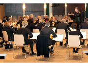 Mandoline trifft E-Gitarre