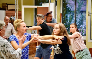 Ges. Frohsinn: „Shakespeare geht immer“