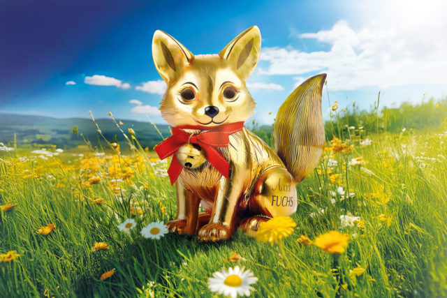 KI Goldfuchs