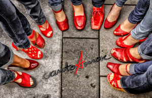 Schuhparade-im-Damenzirkel