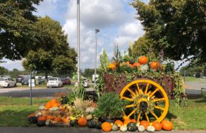 Herbstfest im Brückenkopf-Park