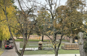 Weihnachtsmarkt wächst