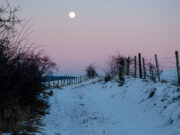 Preis für „Eifel-Chronisten“