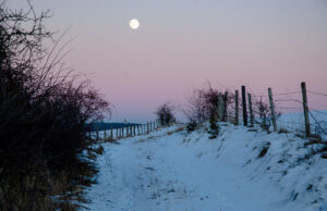Preis für „Eifel-Chronisten“