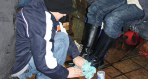 Schuhe putzen, Tannenbäume und Lichter bringen