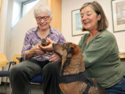 Tierisch motivierend