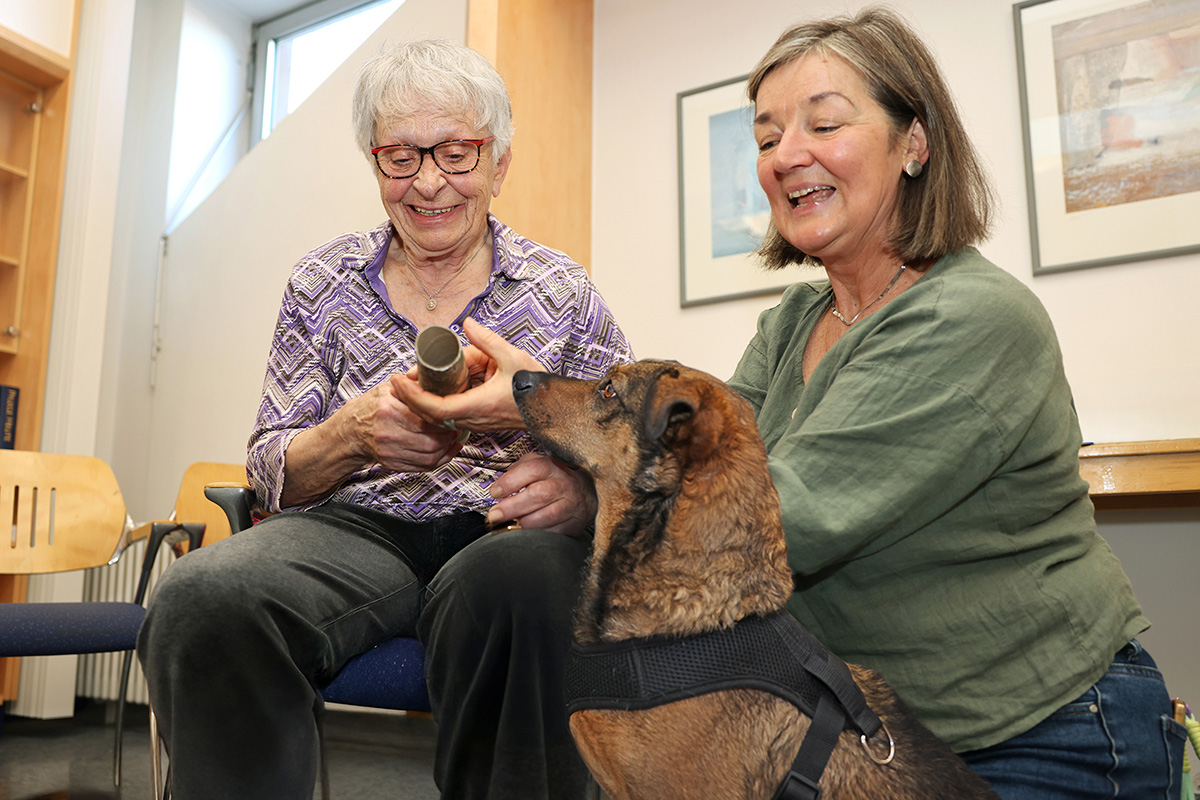 tierisch-motivierend