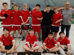 Vizemeister auf Bezirksebene