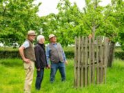 Baumschere richtig ansetzen