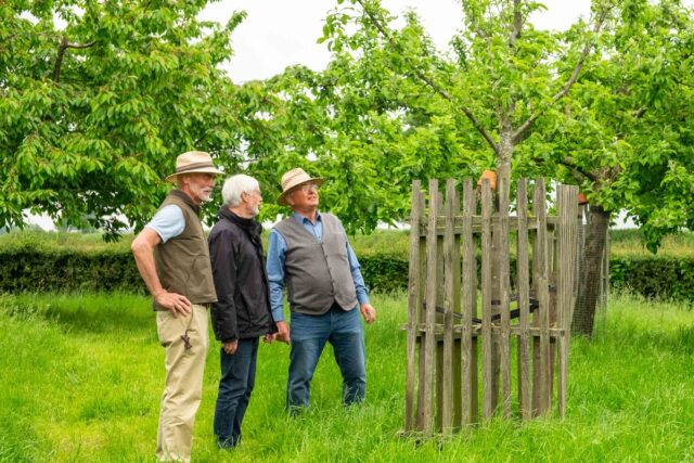 die Drei Obstbaumwarte_Rechte D.Flaskamp