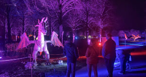 Drachenlichter Brückenkopf