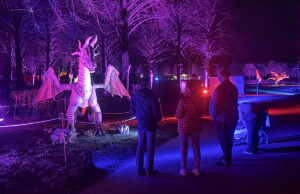 Drachenlichter Brückenkopf