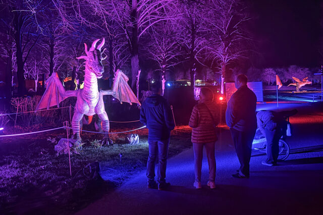 Drachenlichter Brückenkopf