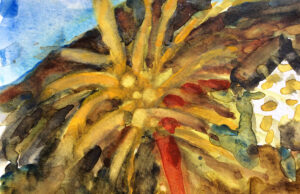 Aquarellkurs in die Kultur-Werkstatt