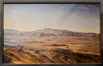 HERZOG im Museum und die Sonne Italiens