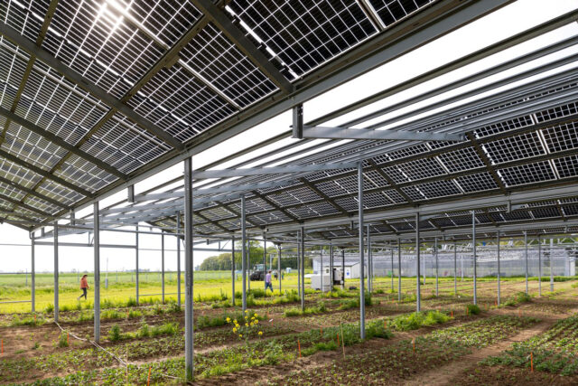 Solar Recycling_web