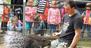 Es wird tierisch