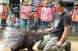 Es wird tierisch