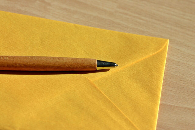 catkin-letter-482507_web