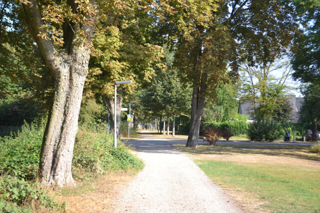 DSC_0290_web