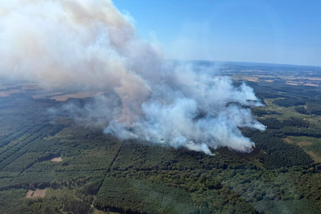 Waldbrand12web