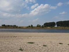 Die Dürre und der Hambachsee