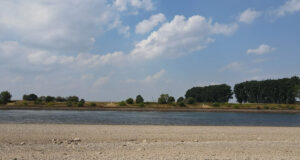 Die Dürre und der Hambachsee