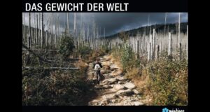 Das Gewicht der Welt