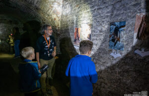 Die Hobbits unter den Tieren