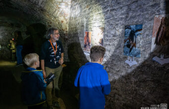 Die Hobbits unter den Tieren